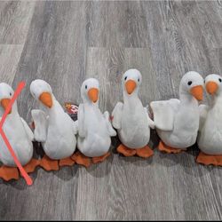 Ty Beanie Babies #12