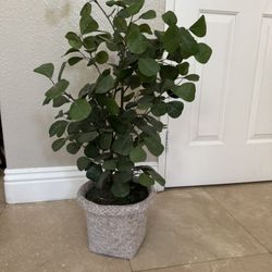 Fake Plant 3’ Tall 