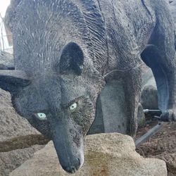 WILDCRETE 3D WOLF ARCHERY TARGET 