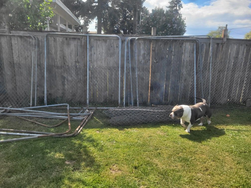 Fence Panels Frames For Chicken Coop/spouse Enclosure Or Dog Pen/kennel