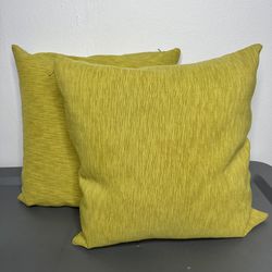 2 Crate & Barrel Lamont Pillows 16” X 16” Feather-Down 