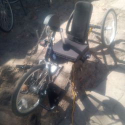 Para- Trike - Disability 