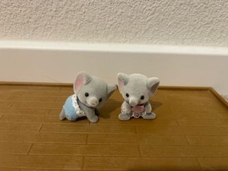 Elephant twins