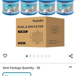 Poolzilla 10-Pack Spa Filter Cartridge Replacement PZ-BWVI 90352E Type VI
