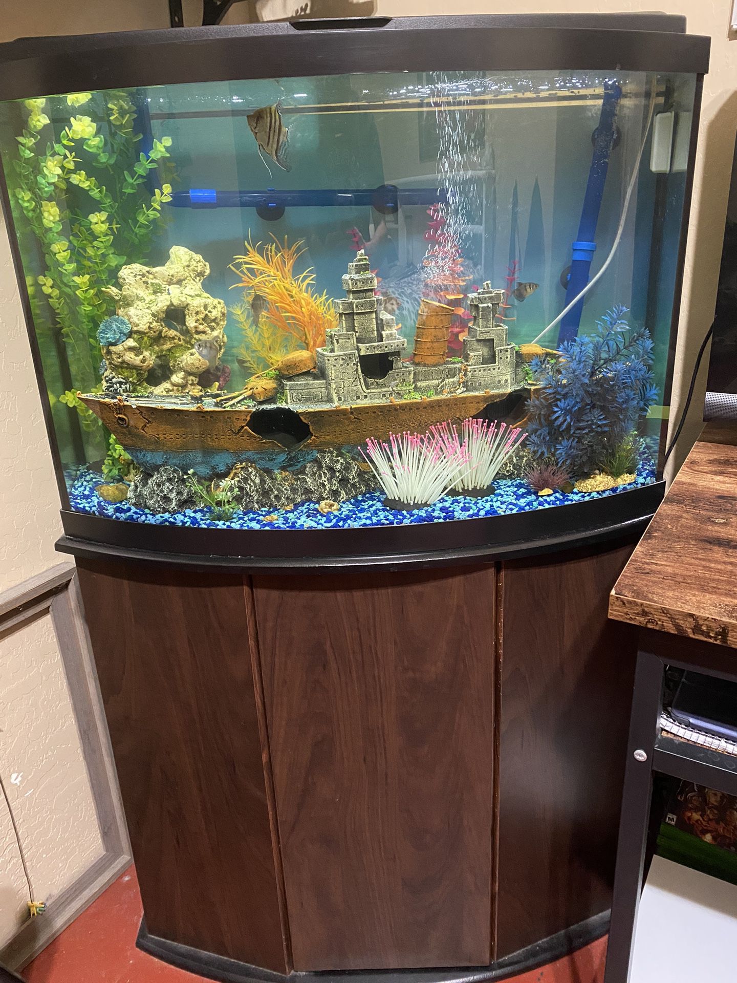 36 Gallon Fish Tank With Stand (price negotiable)