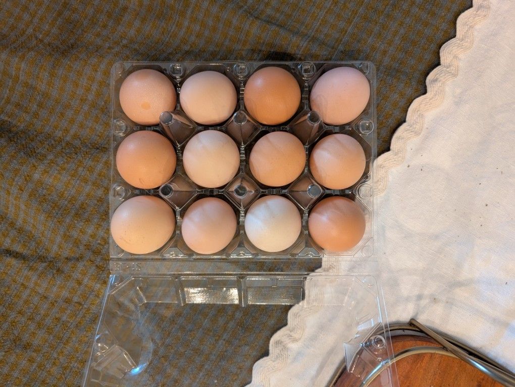 Cage-Free Backyard Eggs