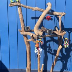 Macaw- Cockatoo Perch Stand !  Hard Durable Ribbon Wood 🪵 Lasts For Years ! Breeder Direct Wholesale Prices !! 