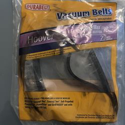 Vacuum belt