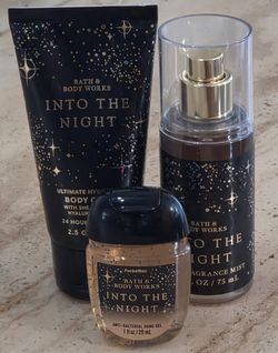 Bath and Body Works- Into The Night ✨️