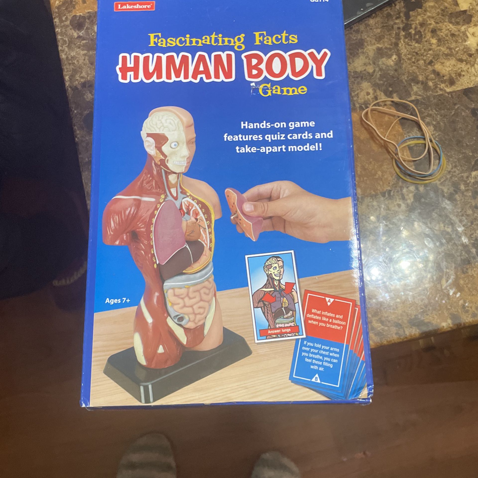 Fascinating Facts Human Body Game