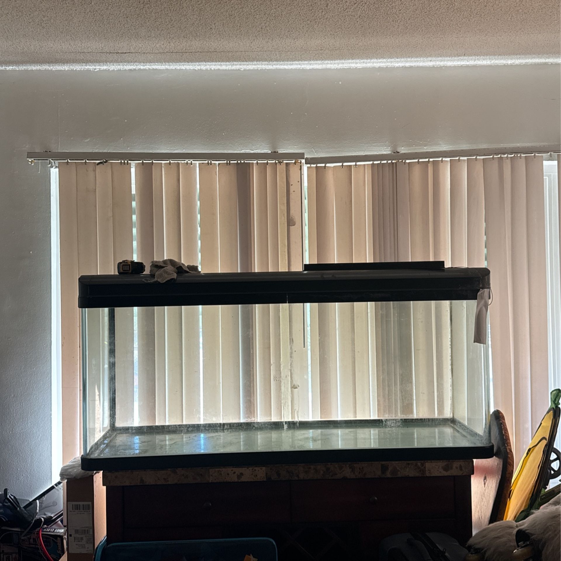 Maybe 100 Gallon Fish Tank