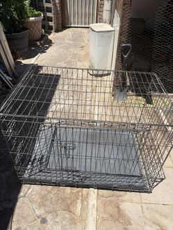Lg dog cage / kennel