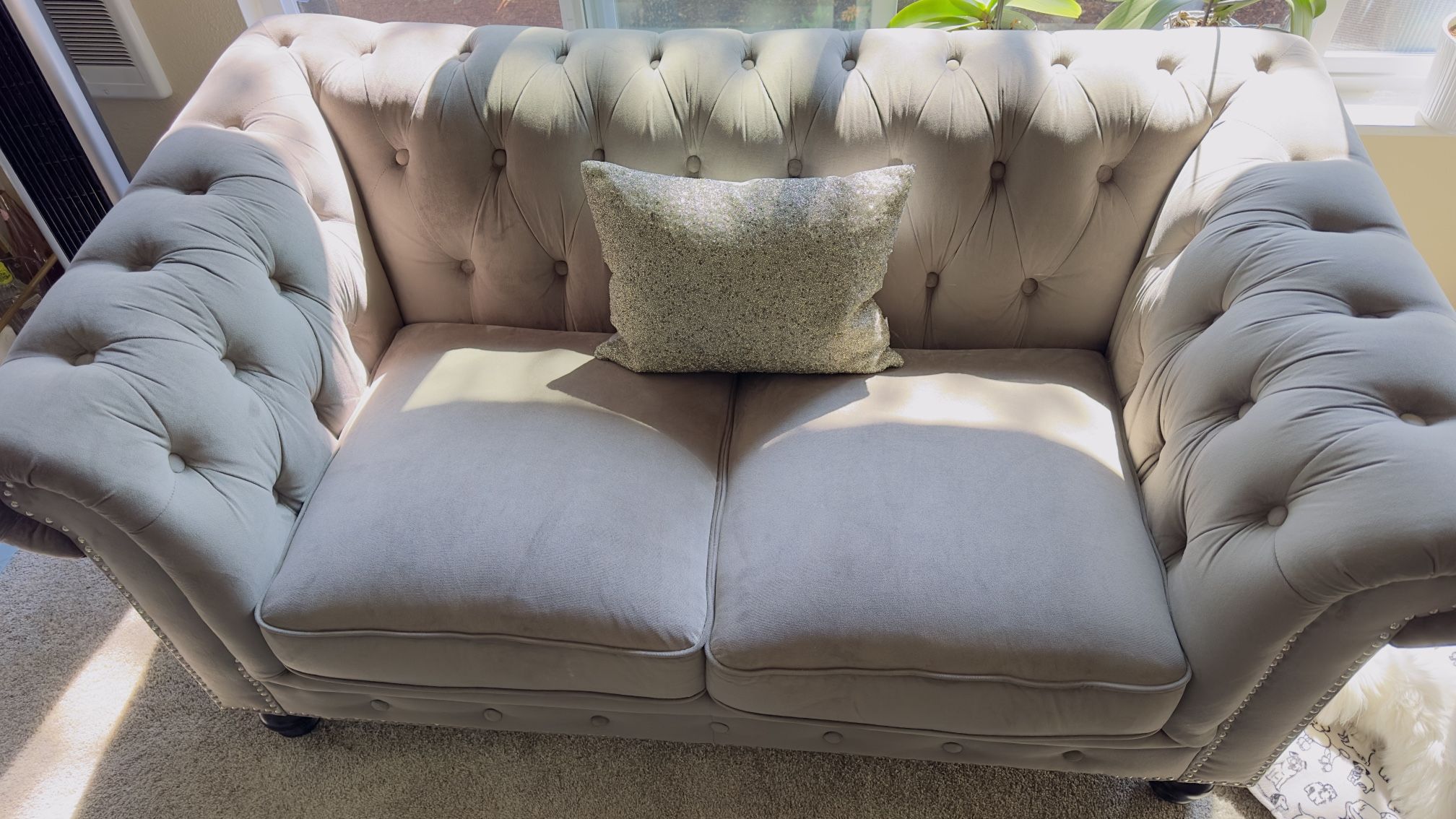 Velvet Couch