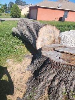 Wood