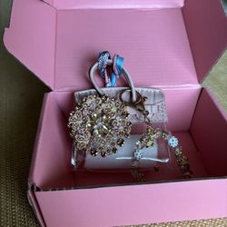 Mini Bag Clear with Pink Handle