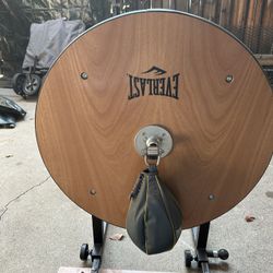 Everlast Speed Bag