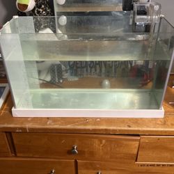 10 Gallon Fish Tank 