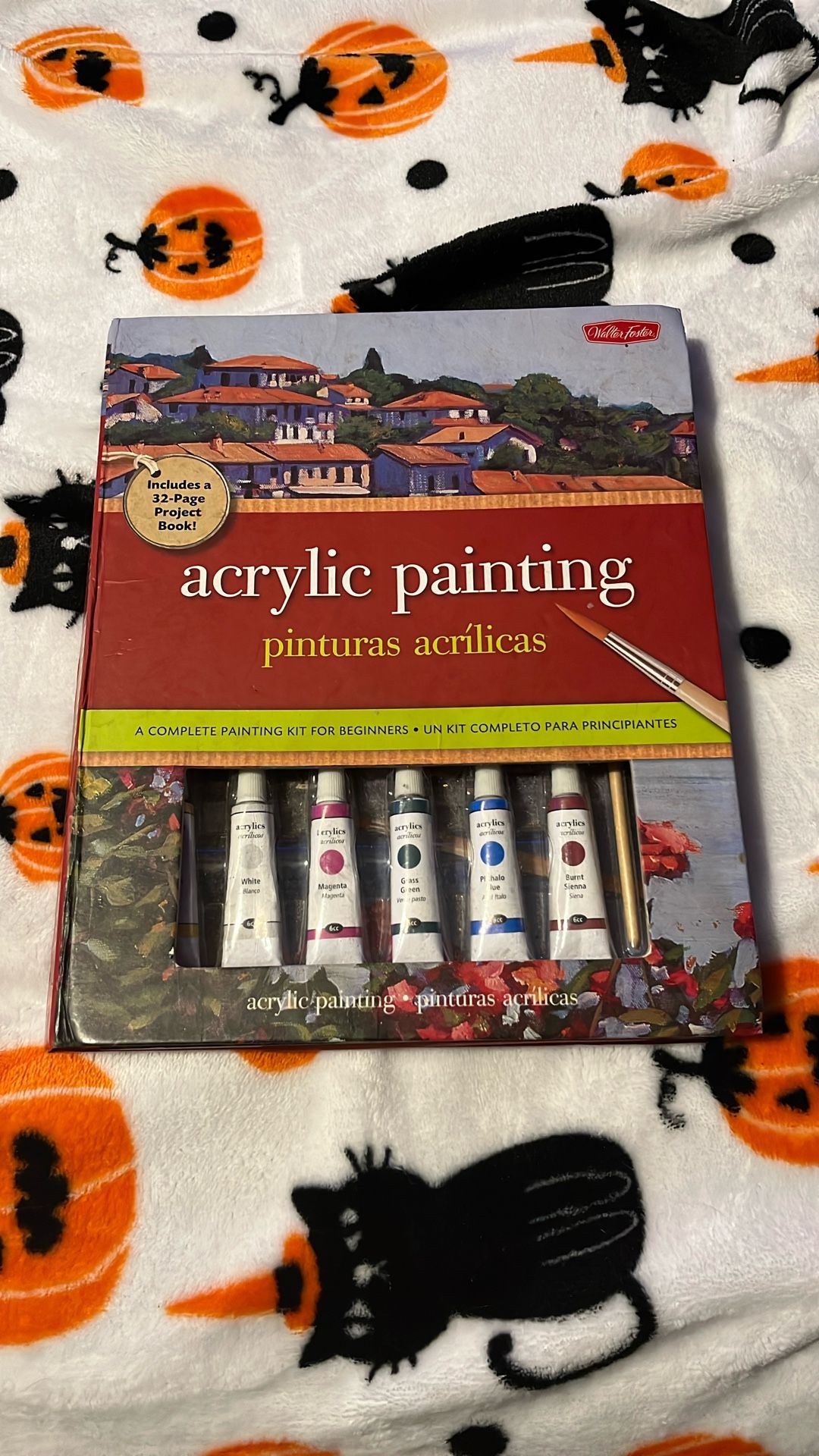 Acrylic Painting Kit