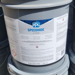 Speed Hide Eggshell Paint