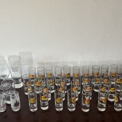 Collectible Shot Glass