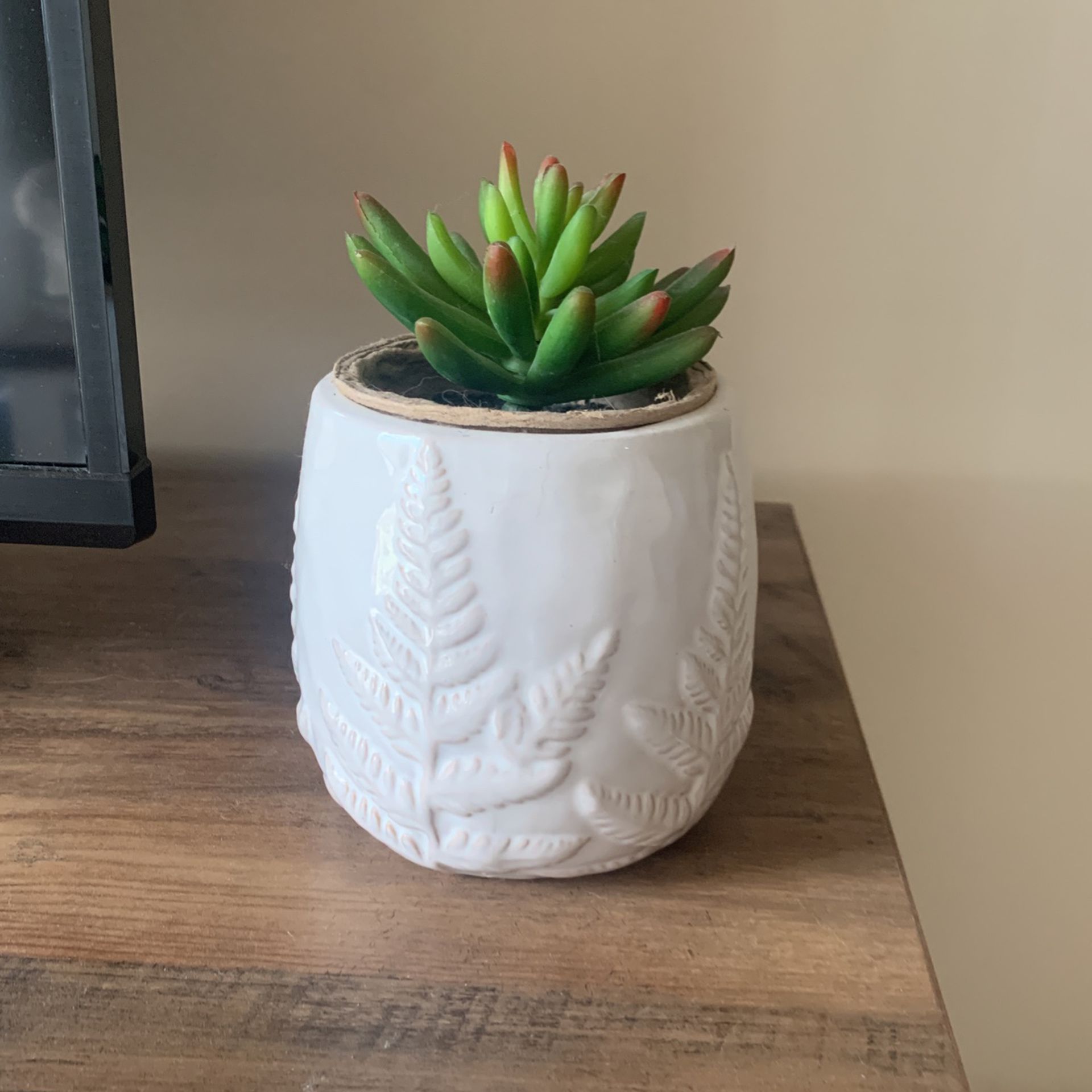 Fake Plant and holder