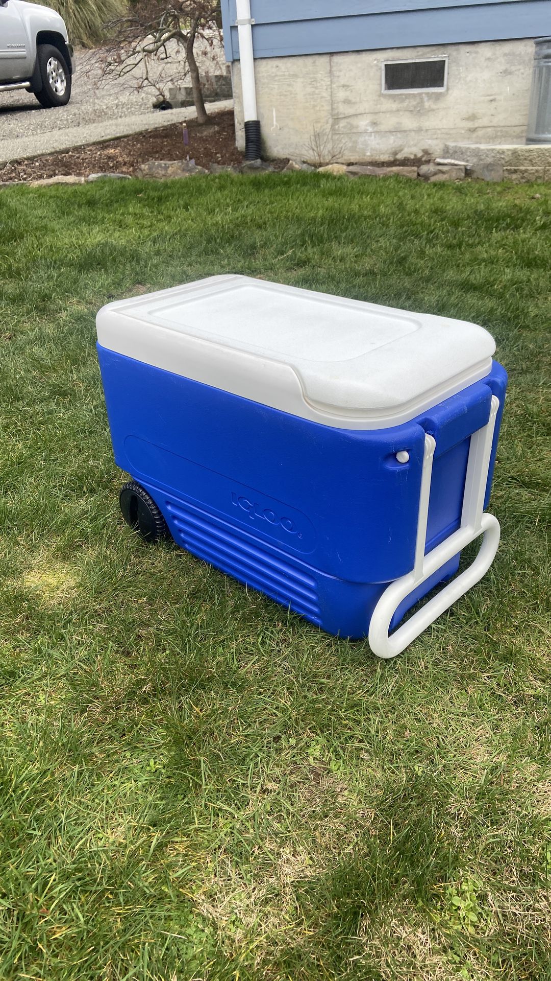 Igloo wheelie cooler