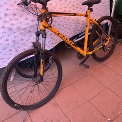 Giant Mountain Bike 