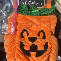 Pumpkin Pet Costume