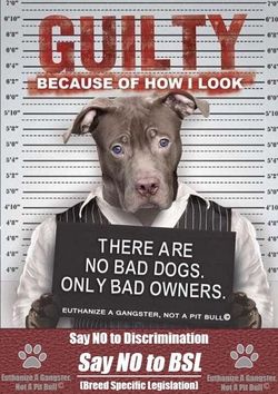 Pitbull Pride and Stop BSL Silicone Bracelets
