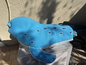Pool Float