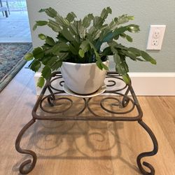 Large Metal Plant Stand
