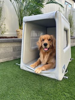 Diggs Enventur inflatable travel dog crate large size