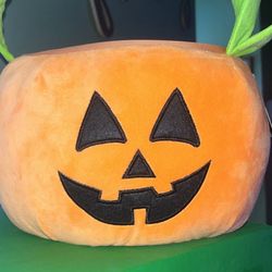 Pumpkin Bucket Brand New