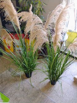 2 artificial plants 12.50 each pickup only cash