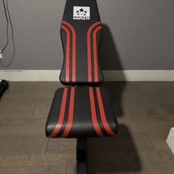 Workout Bench