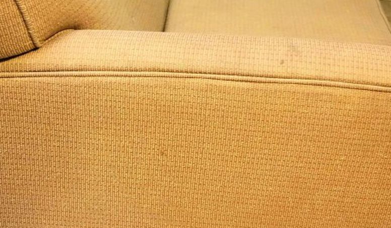 Free Fold Out Couch