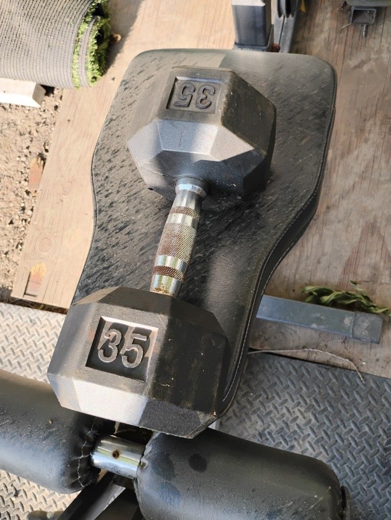 Single 35 Lb Dumbbell Weight