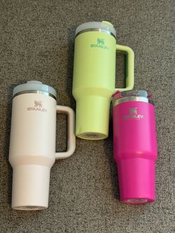 Stanley Quencher Tumblers Bundle