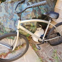 Beach Cruiser