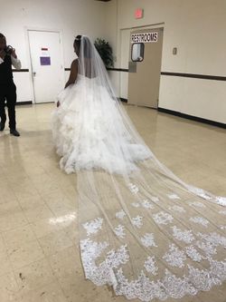 Vera Wang Wedding Dress with Veil