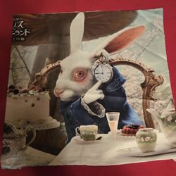 16” by 16” Alice in Wonderland pillow case
