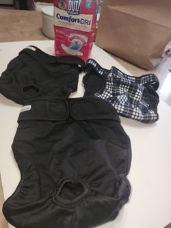 Dog diapers