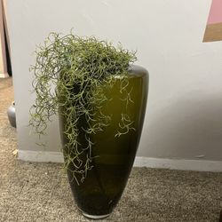 Base Green. Made In Poland