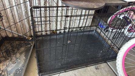 Kennel for dog