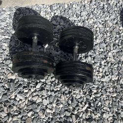 Ajustable Dumbbells 2x100 Lbs 