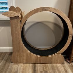 Cat Exercise Wheel 