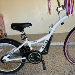 KaZAM Co-Pilot Bike Trailer 