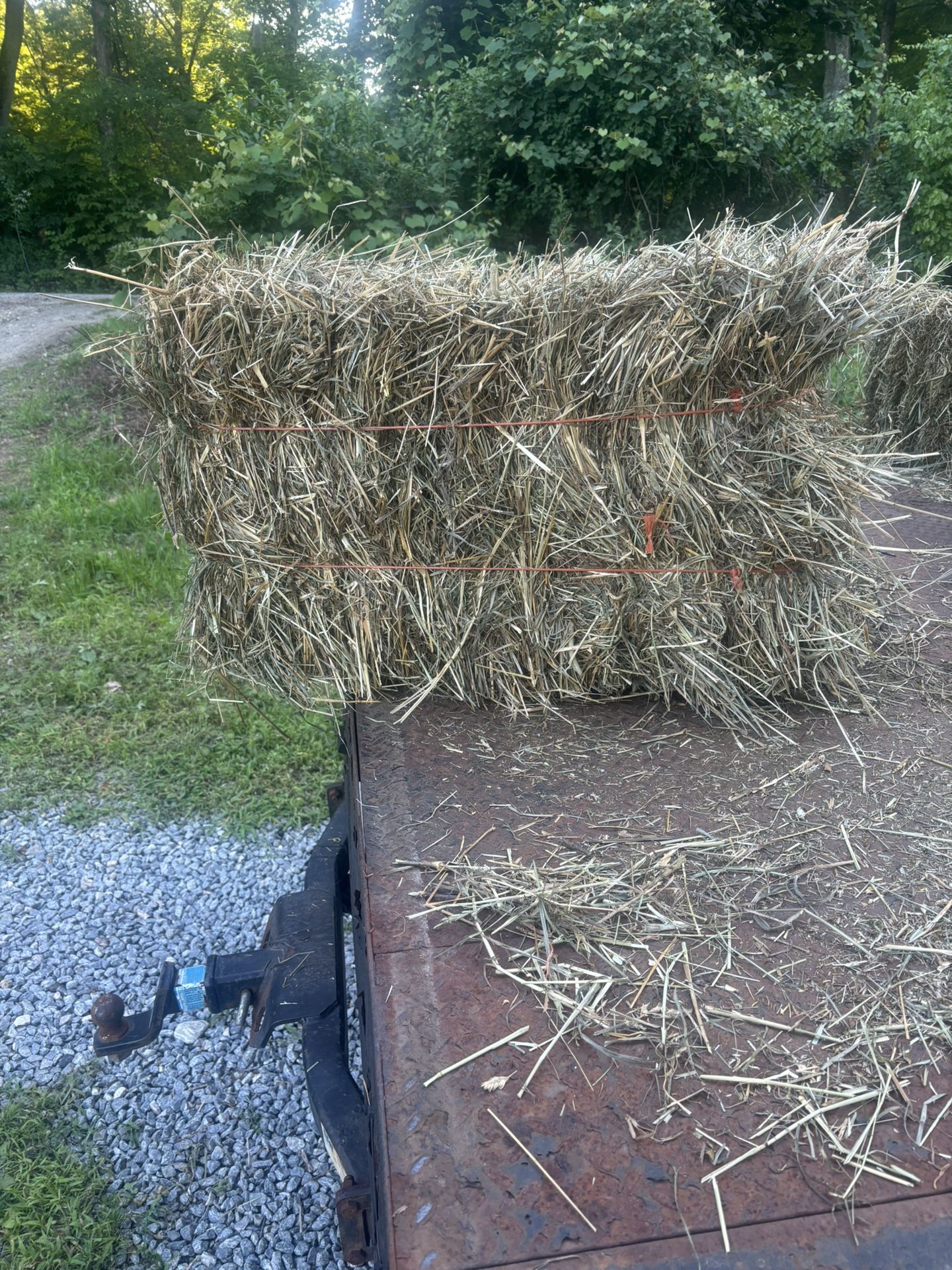 First Cut Hay