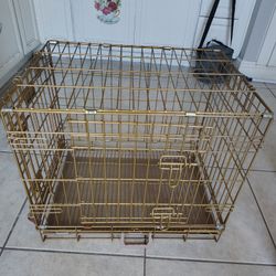 Case Animal.