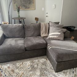 8 month old couch